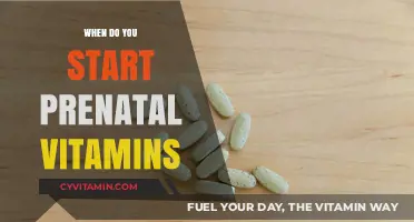 Nourishing Beginnings: When to Start Prenatal Vitamins