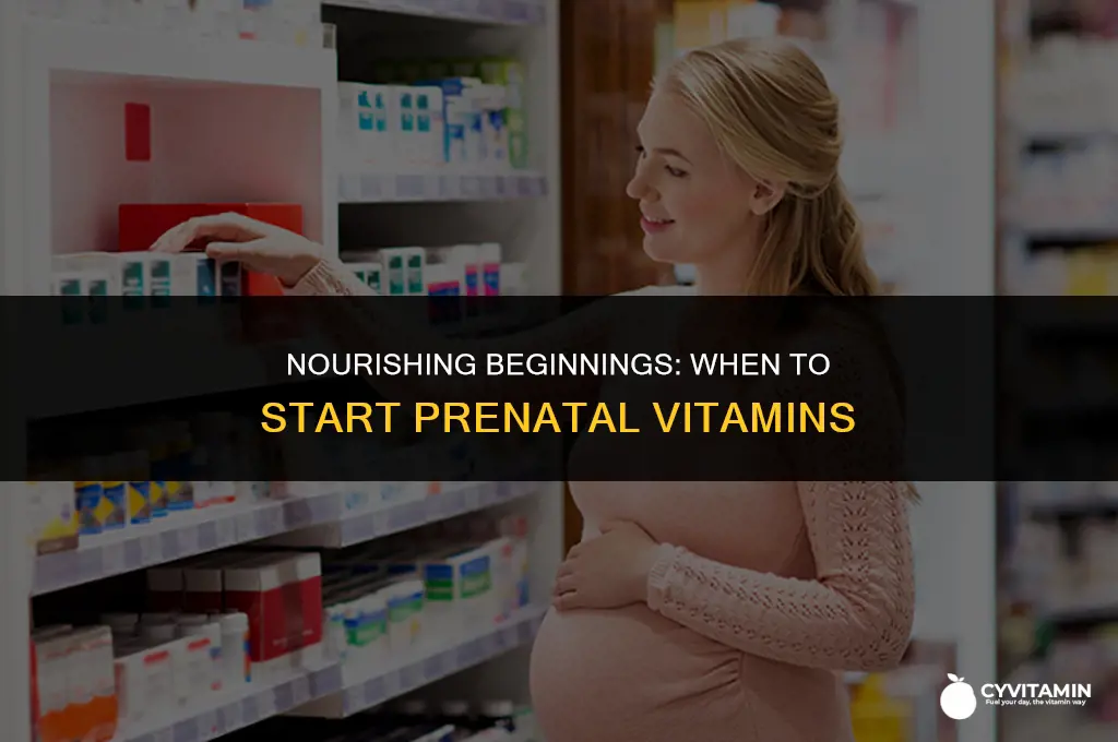 when do you start prenatal vitamins