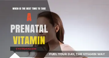 Prenatal Vitamin Timing: When to Start for Optimal Baby Health