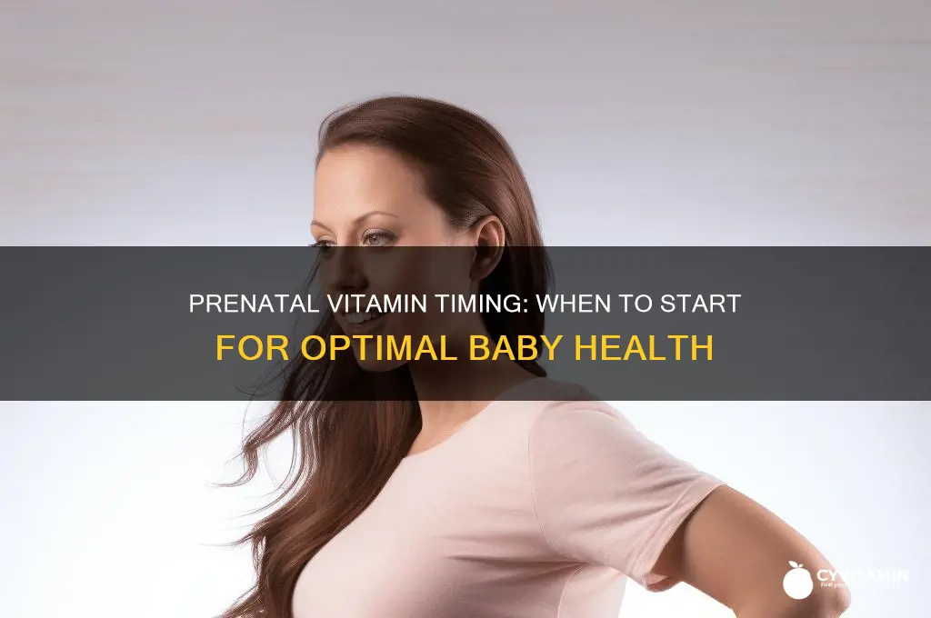when is the best time to take a prenatal vitamin