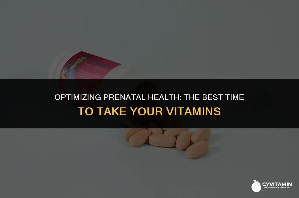 when should i take my prenatal vitamins