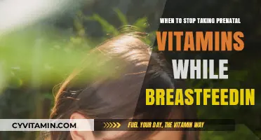 Nourishing Your Journey: When to Stop Prenatal Vitamins While Breastfeeding