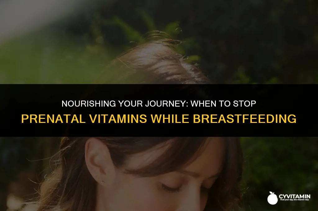 when to stop taking prenatal vitamins while breastfeeding