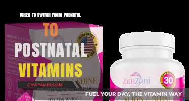 Nourishing New Life: When to Transition from Prenatal to Postnatal Vitamins