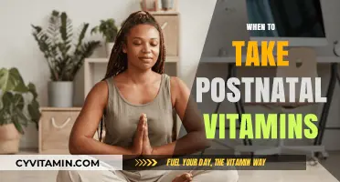 Nourishing New Motherhood: The Optimal Time for Postnatal Vitamins