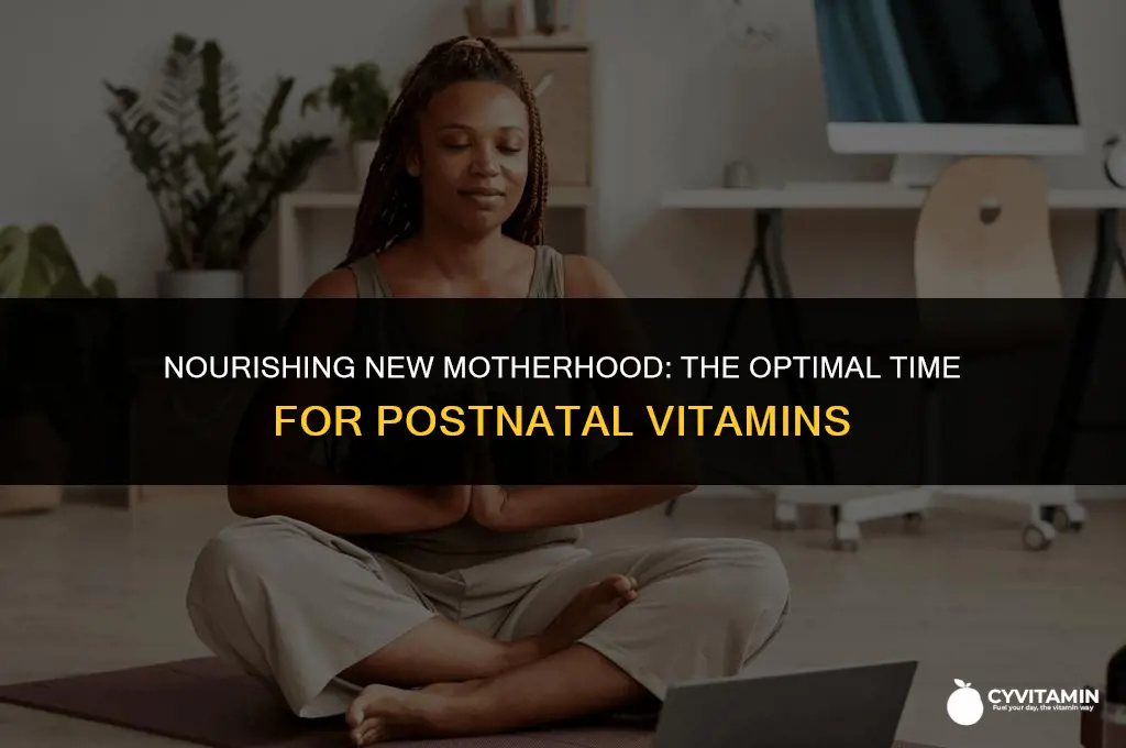 when to take postnatal vitamins