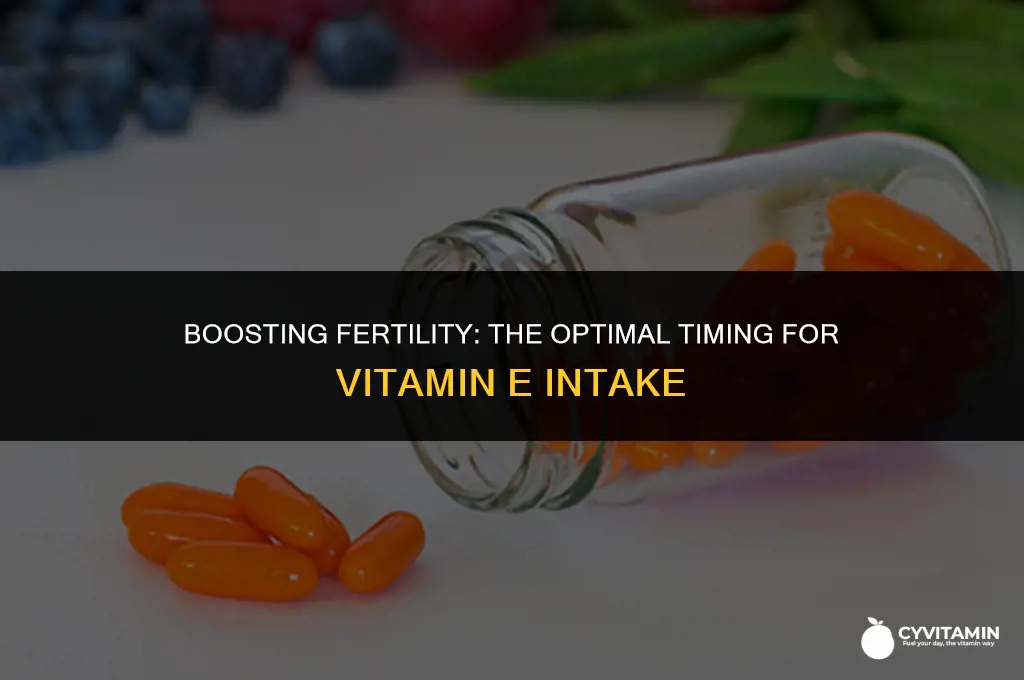 when to take vitamin e for fertility
