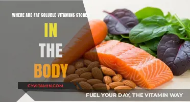 Unlocking the Secrets: Where Fat-Soluble Vitamins Reside in Our Bodies