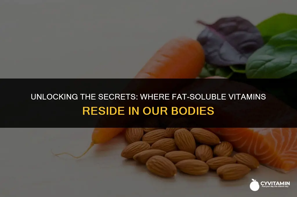 where are fat soluble vitamins stored in the body