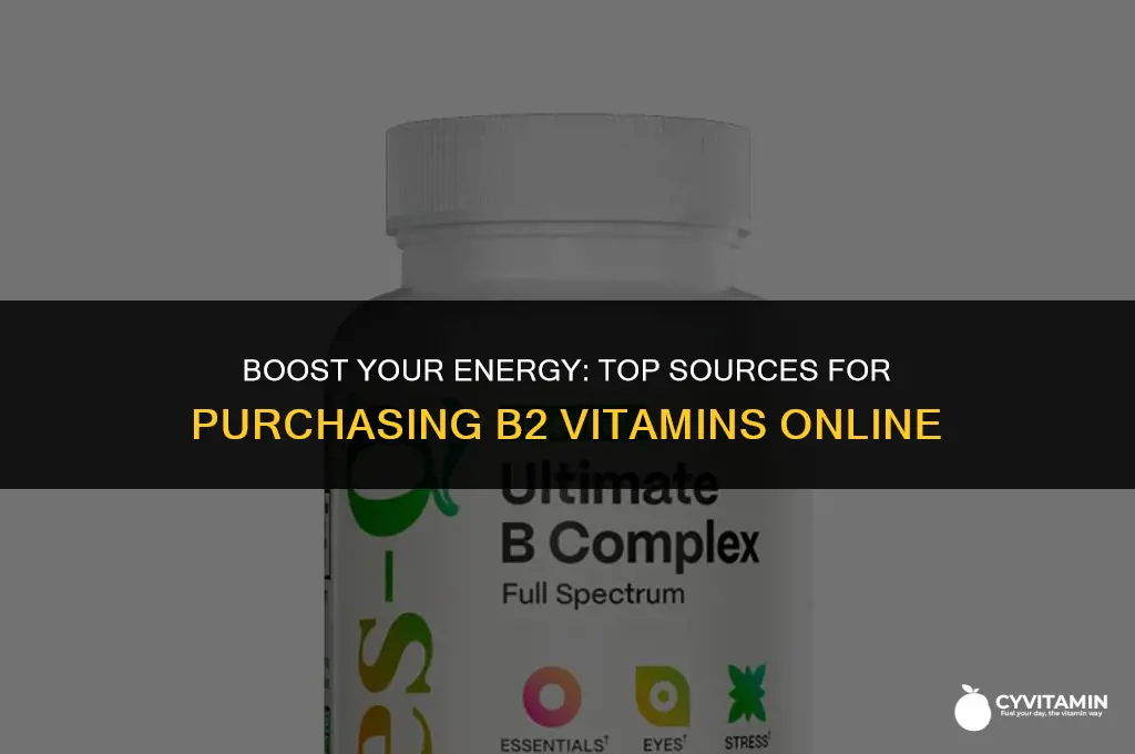 where can i buy b2 vitamins