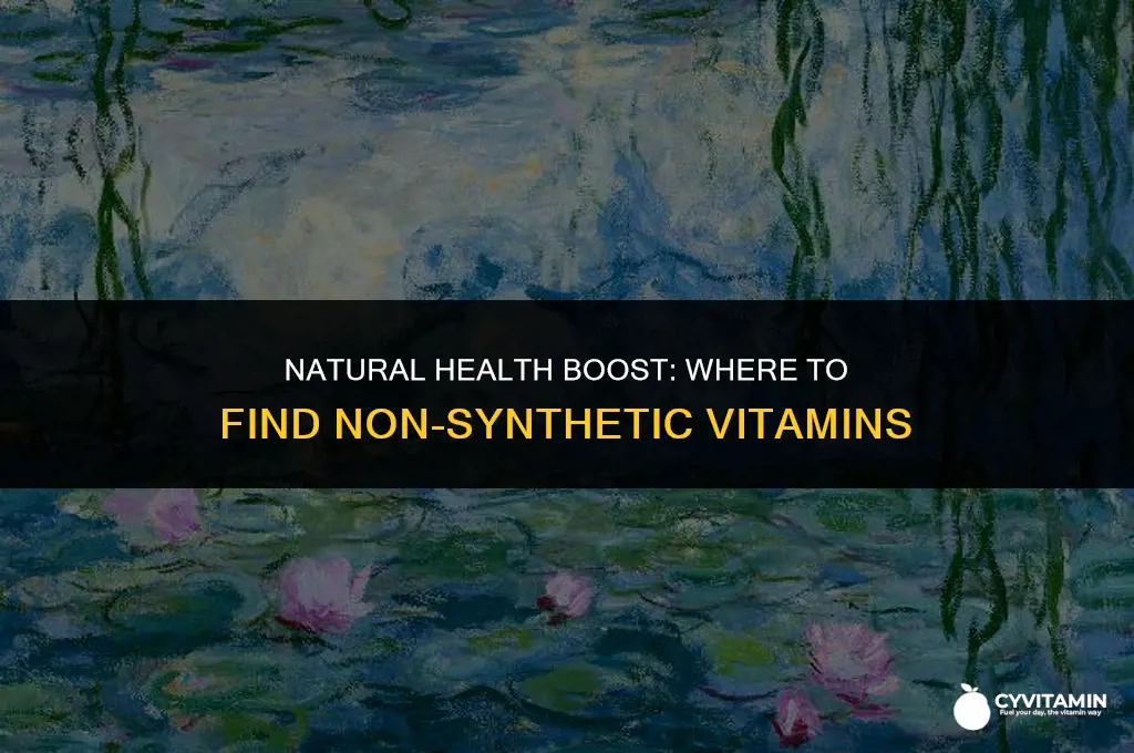 where can i buy non synthetic vitamins