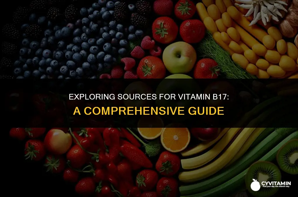 where can i buy vitamin b17