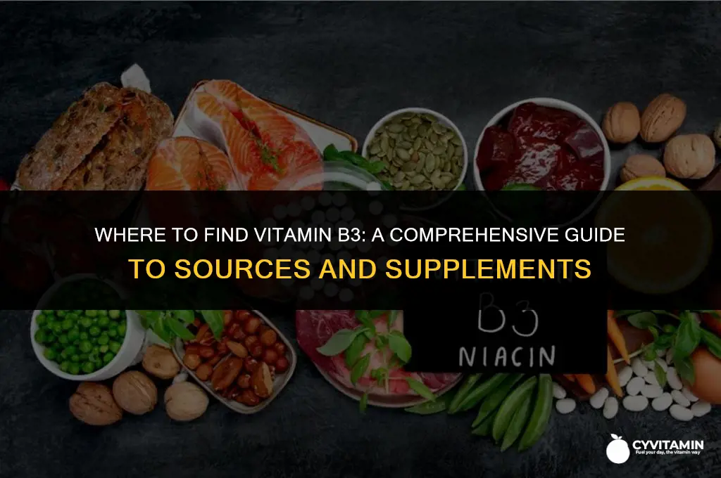 where can i buy vitamin b3