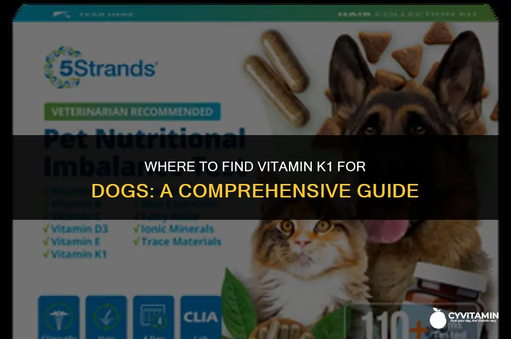 where can i buy vitamin k1 for dogs