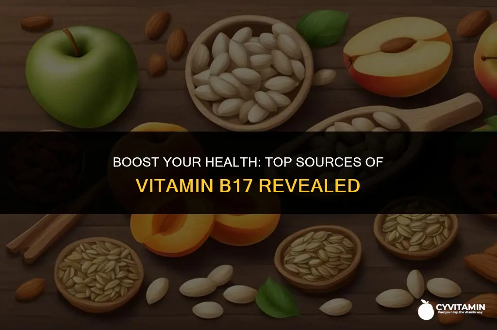 where can i get b17 vitamin