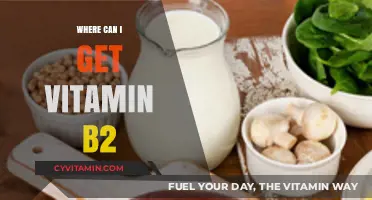 Boost Your Health: Top Sources of Vitamin B2 Revealed