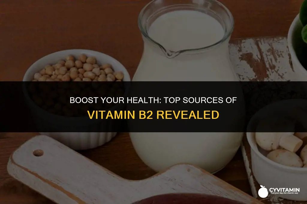 where can i get vitamin b2