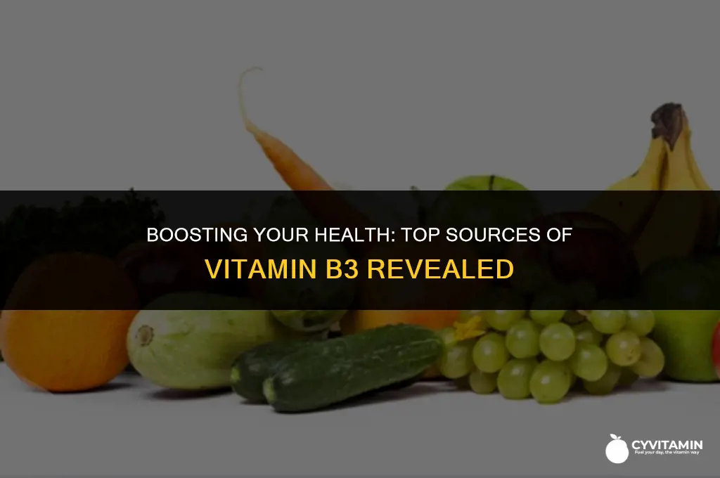 where can i get vitamin b3