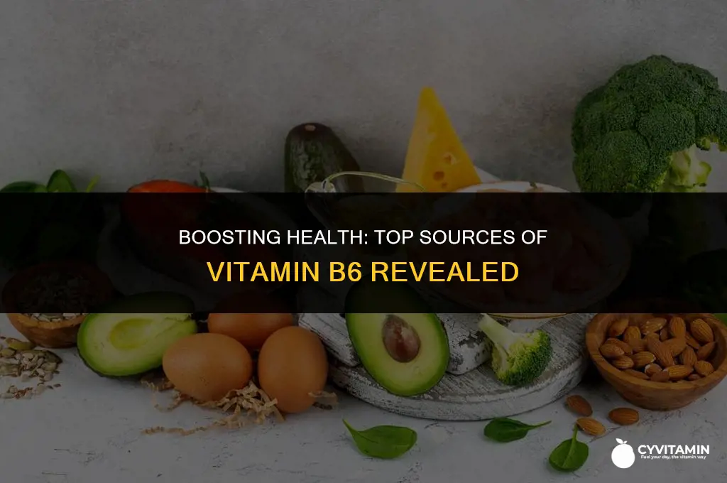 where can i get vitamin b6