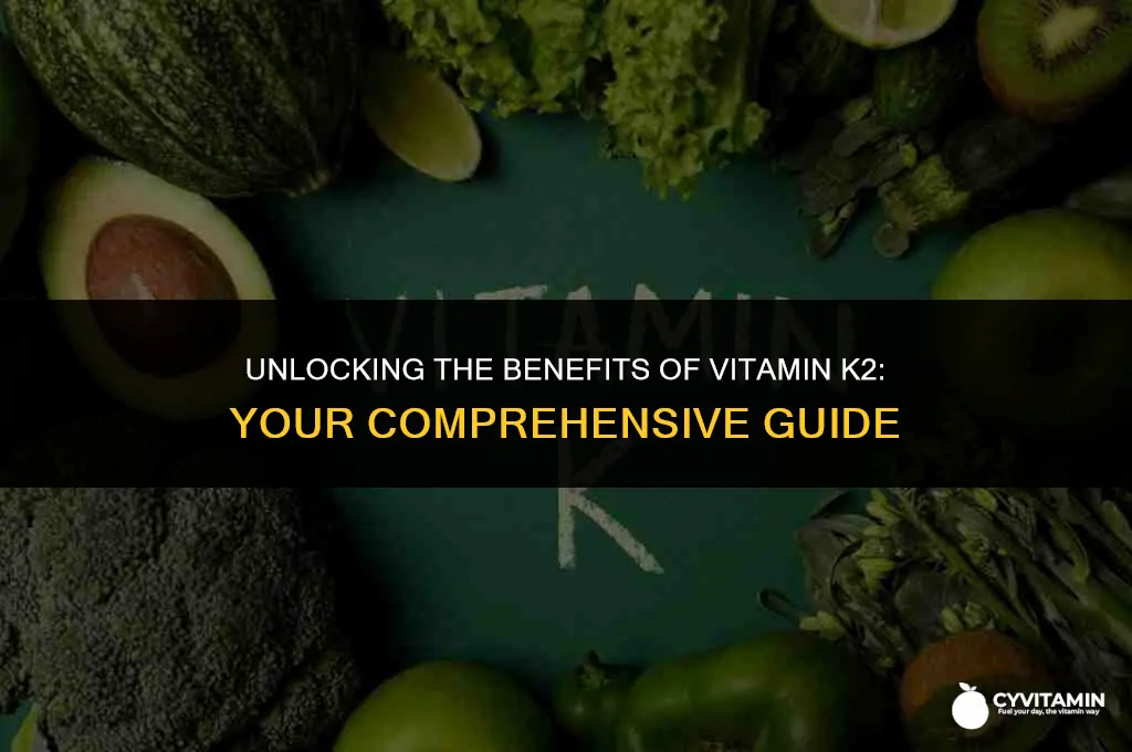 where can i get vitamin k2