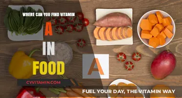 Exploring Vitamin A: A Guide to Food Sources and Benefits