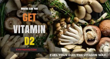 Sunlight to Supplements: Your Guide to Vitamin D2 Sources