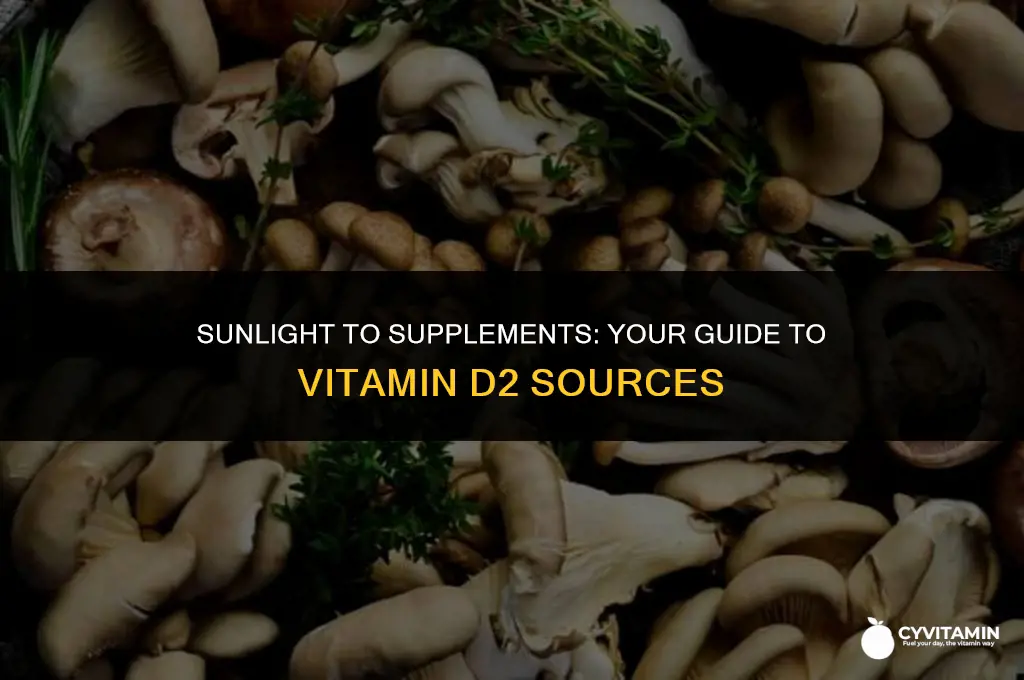 where can you get vitamin d2
