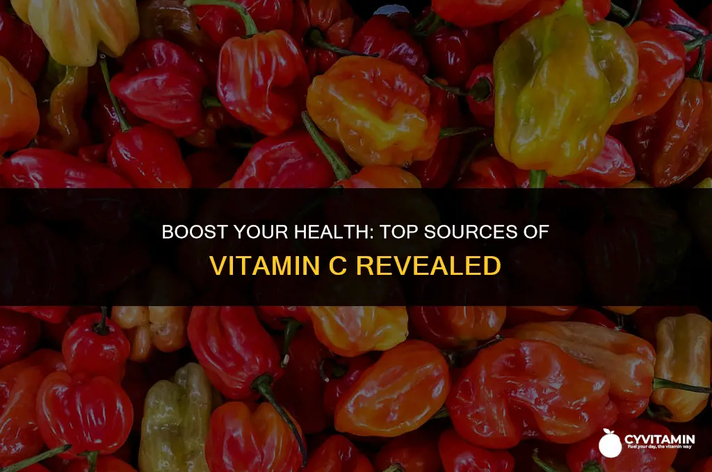 where do i get vitamin c