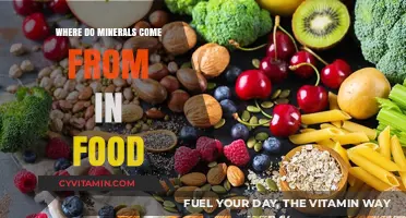 Nature's Bounty: Unveiling the Mineral Origins in Our Food