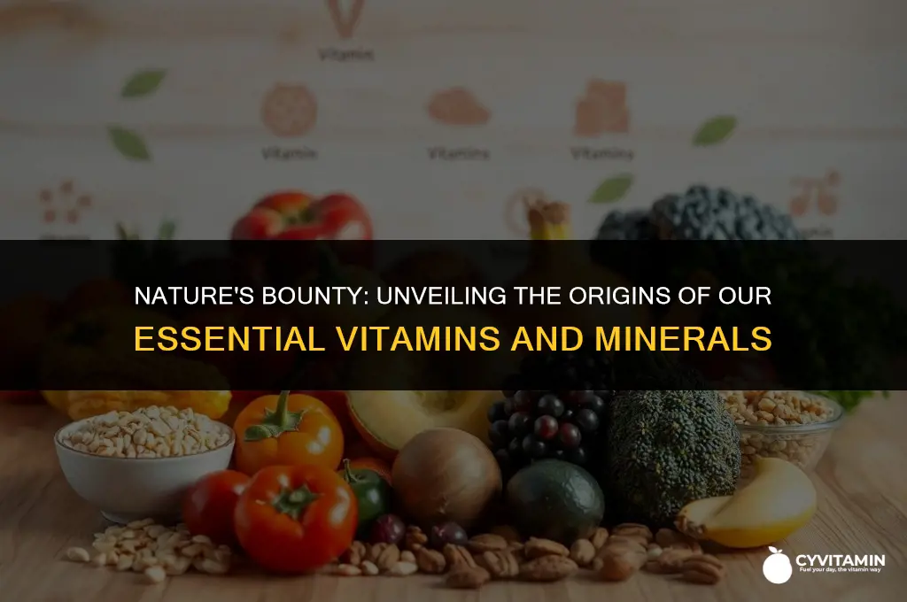 where do our vitamins and minerals come from