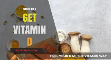 Sunlight to Supplements: Your Guide to Vitamin D Sources