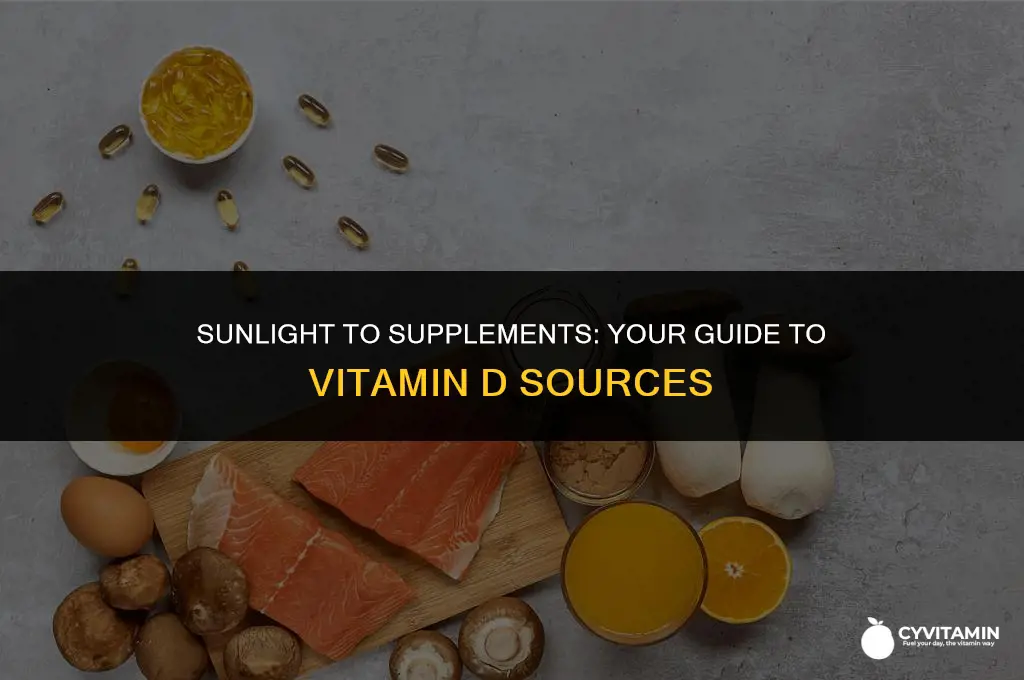 where do u get vitamin d