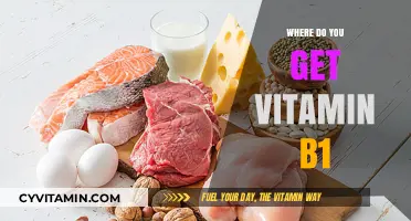 Boosting Your Energy: Natural Sources of Vitamin B1 Revealed