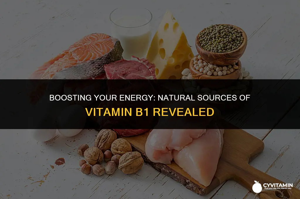 where do you get vitamin b1