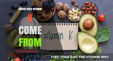 Exploring the Origins of Vitamin K: A Comprehensive Guide