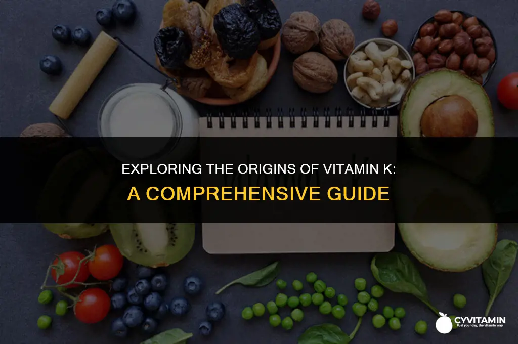 where does vitamin k come from