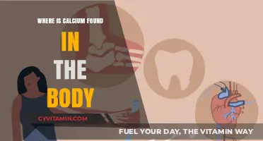 Exploring Calcium's Vital Roles: Where This Mineral Resides in Our Body