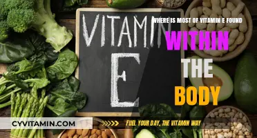 Exploring Vitamin E's Vital Roles: Where This Antioxidant Resides