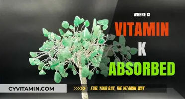 Unlocking the Secrets of Vitamin K Absorption: A Comprehensive Guide