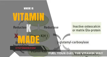 Unlocking the Secrets: Where Vitamin K is Naturally Produced