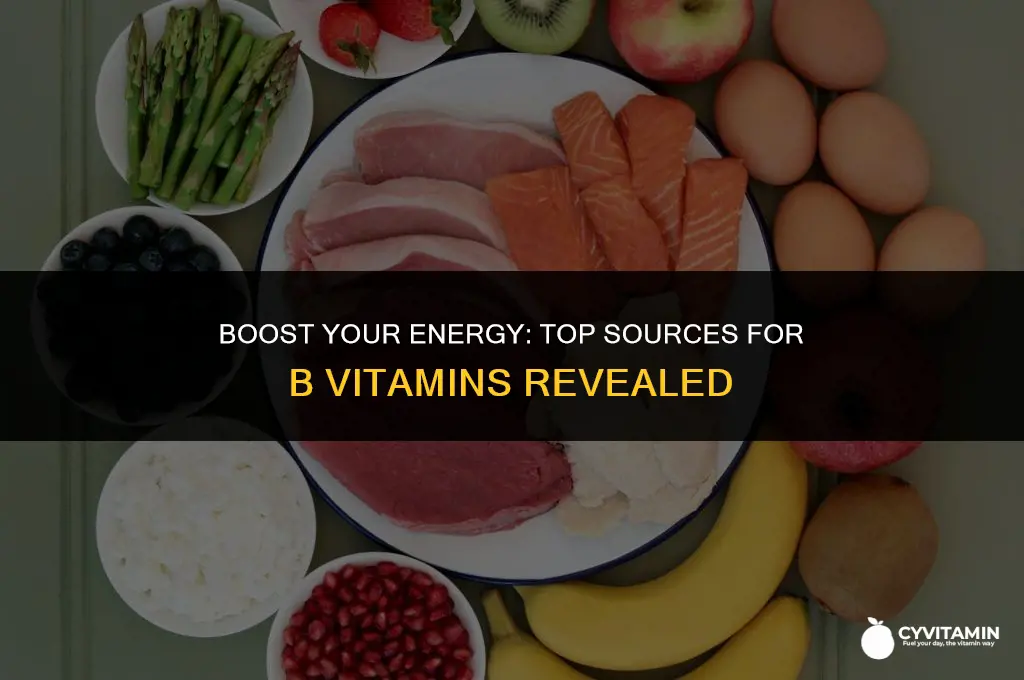where to buy b vitamins