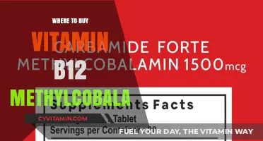 Where to Buy Vitamin B12 Methylcobalamin: Top Sources and Tips