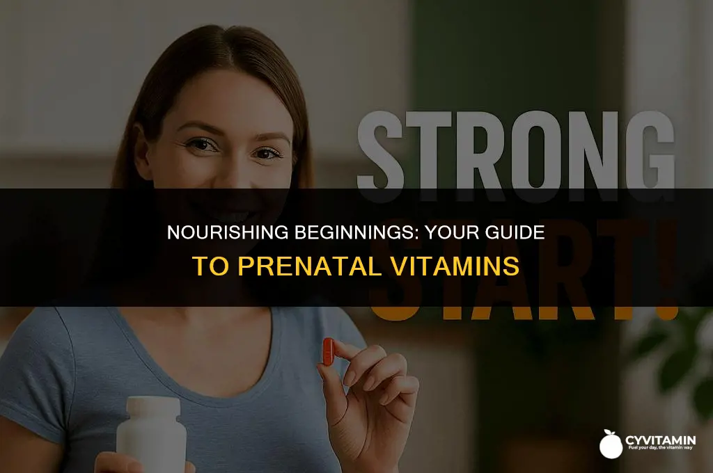 where to get prenatal vitamins