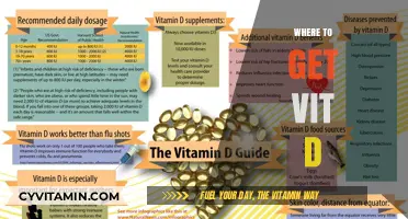 Sunshine and Supplements: Your Guide to Boosting Vitamin D Intake