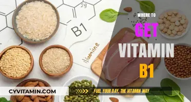 Boost Your Health: Top Sources of Vitamin B1 Revealed