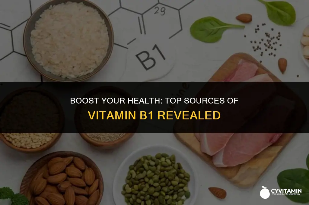 where to get vitamin b1