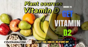 Sunlight to Supplements: Your Guide to Getting Vitamin D2