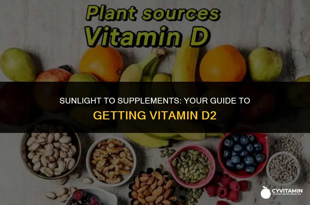 where to get vitamin d2
