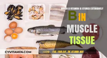 Unlocking the Power of B Vitamins: A Guide to Muscle Tissue Storage