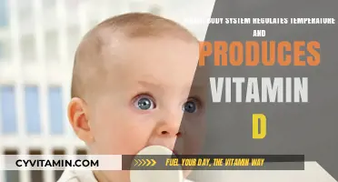 Exploring the Wonders of the Endocrine System: Temperature Regulation and Vitamin D Production